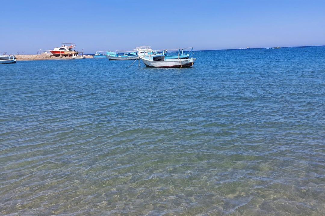 Photo of Others in Marsa Alam