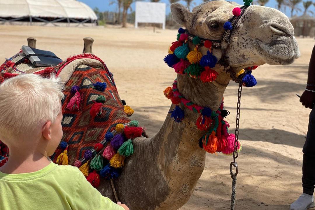 Photo of Others in Marsa Alam