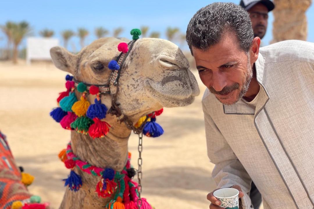 Photo of Others in Marsa Alam
