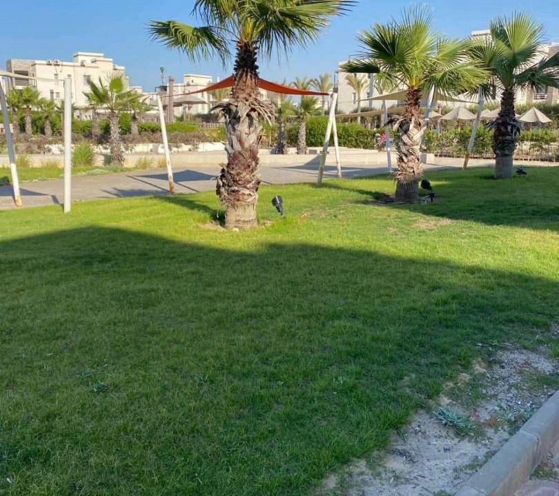 Photo of Others in Sidi Abd El-Rahman