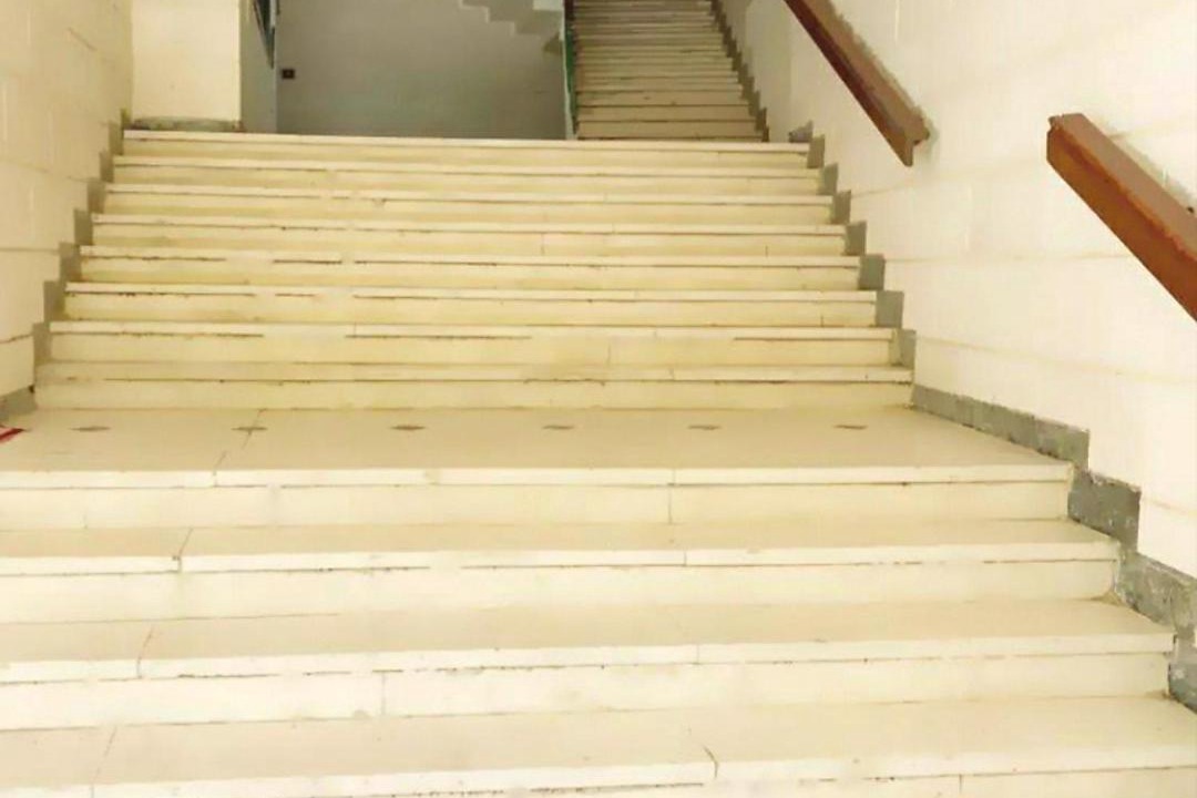 Photo of Others in Zamalek