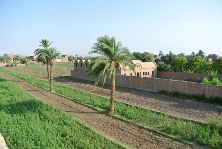 Photo of Others in Luxor