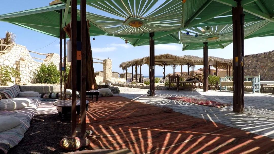 Photo of Others in Marsa Alam