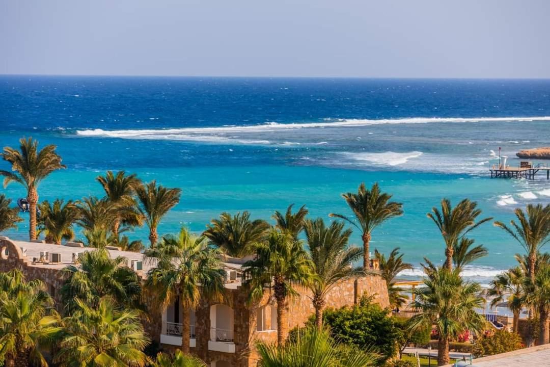 Photo of Others in Marsa Alam