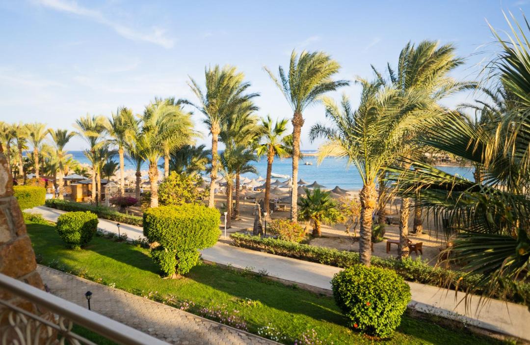 Photo of Others in Marsa Alam