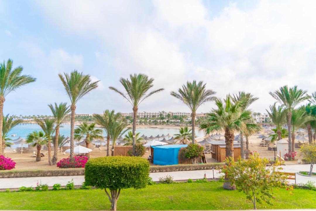 Photo of Others in Marsa Alam