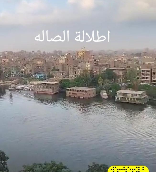 Photo of Others in Zamalek