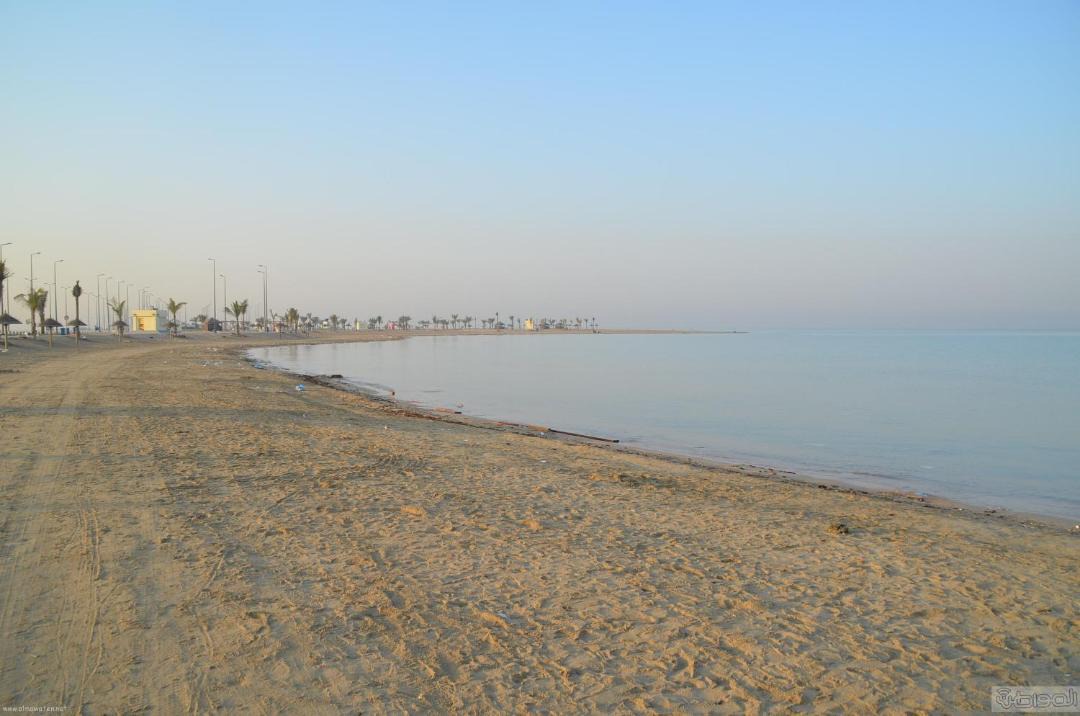 Photo of Others in Zafarana