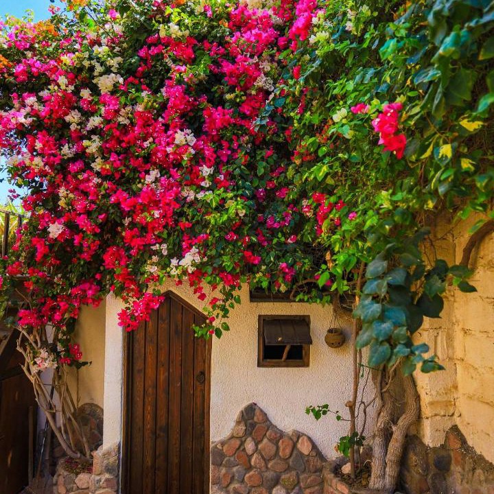 Photo of Others in Dahab