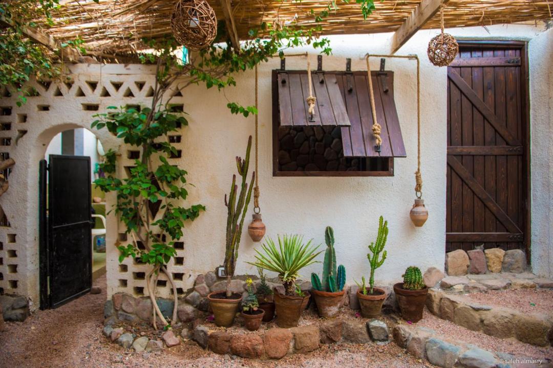 Photo of Others in Dahab