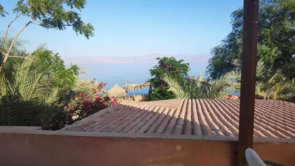Photo of Others in Nuweiba