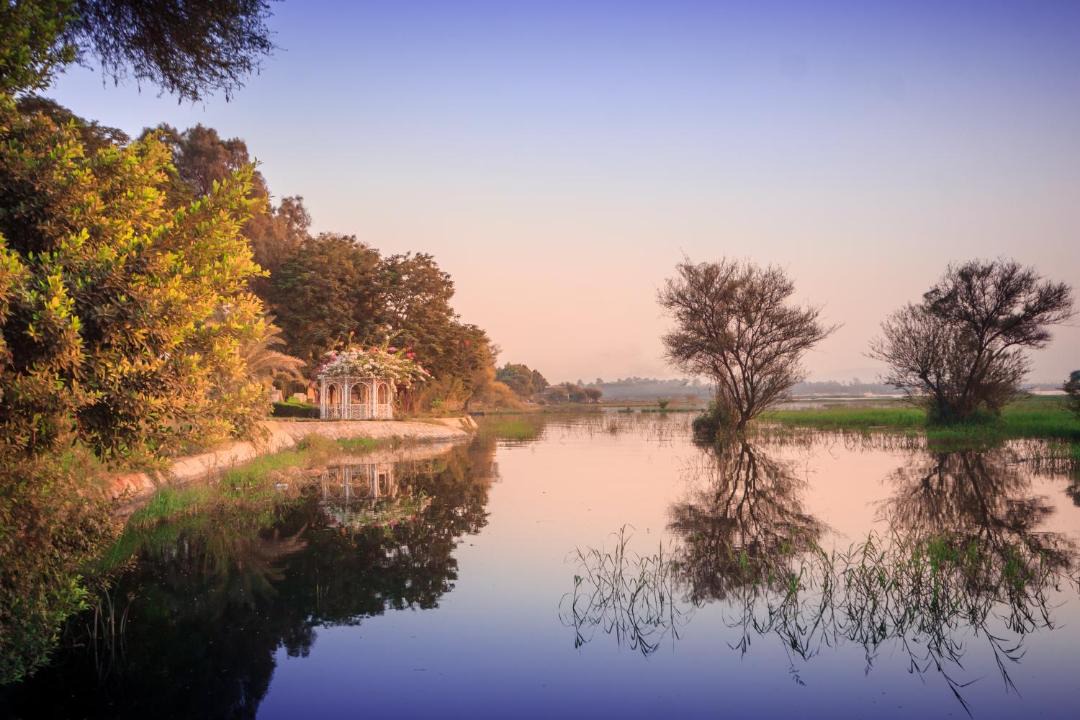 Photo of Others in Nile River Luxor