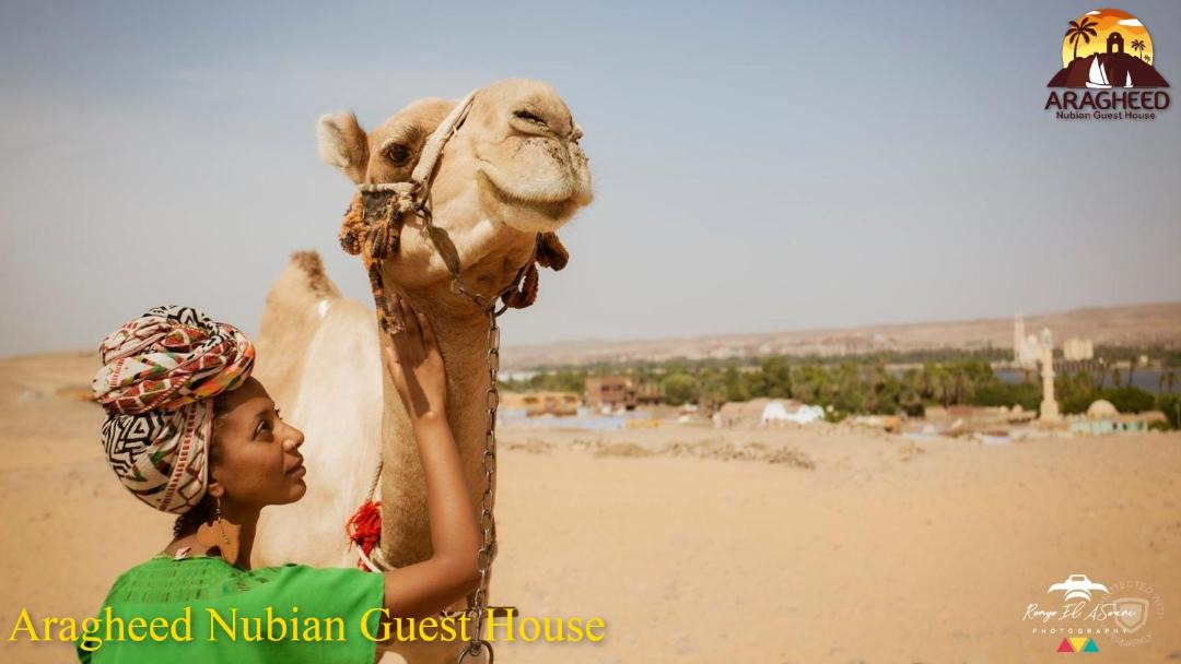 Photo of Others in Aswan