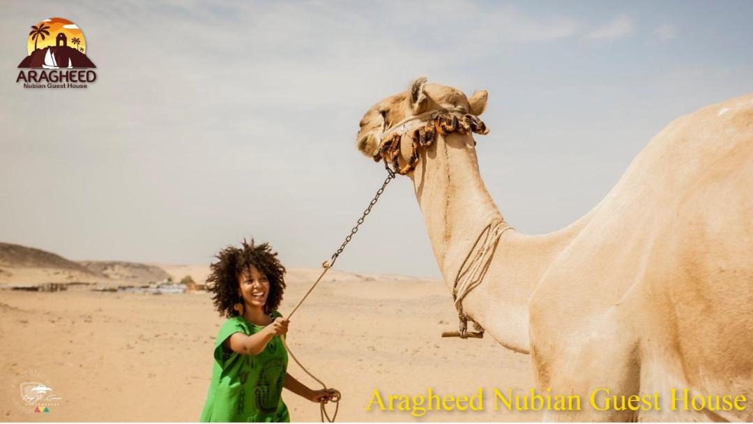 Photo of Others in Aswan