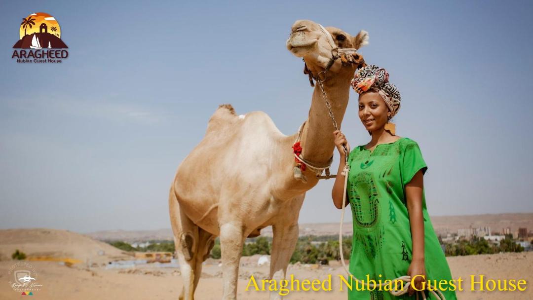Photo of Others in Aswan
