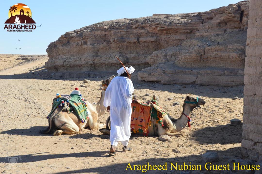 Photo of Others in Aswan
