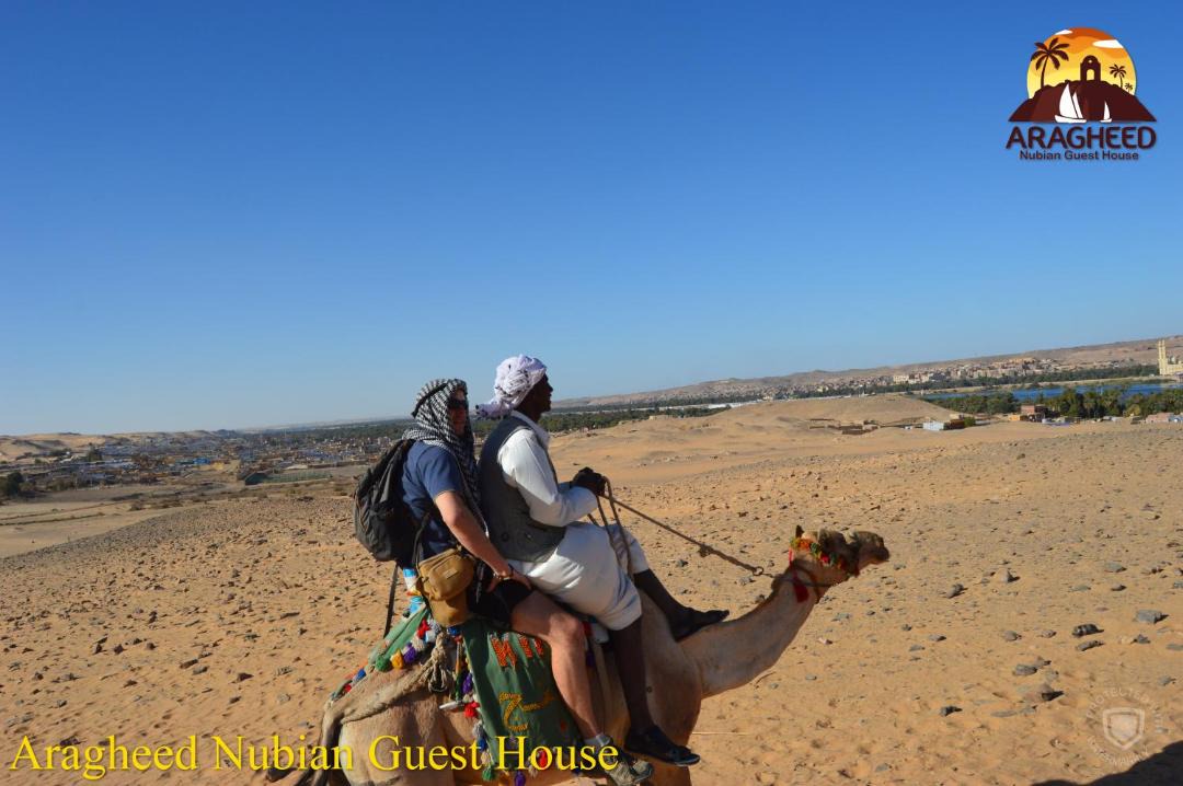 Photo of Others in Aswan