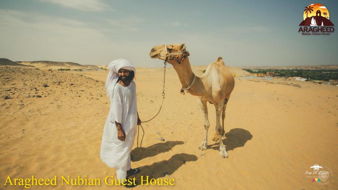 Photo of Others in Aswan