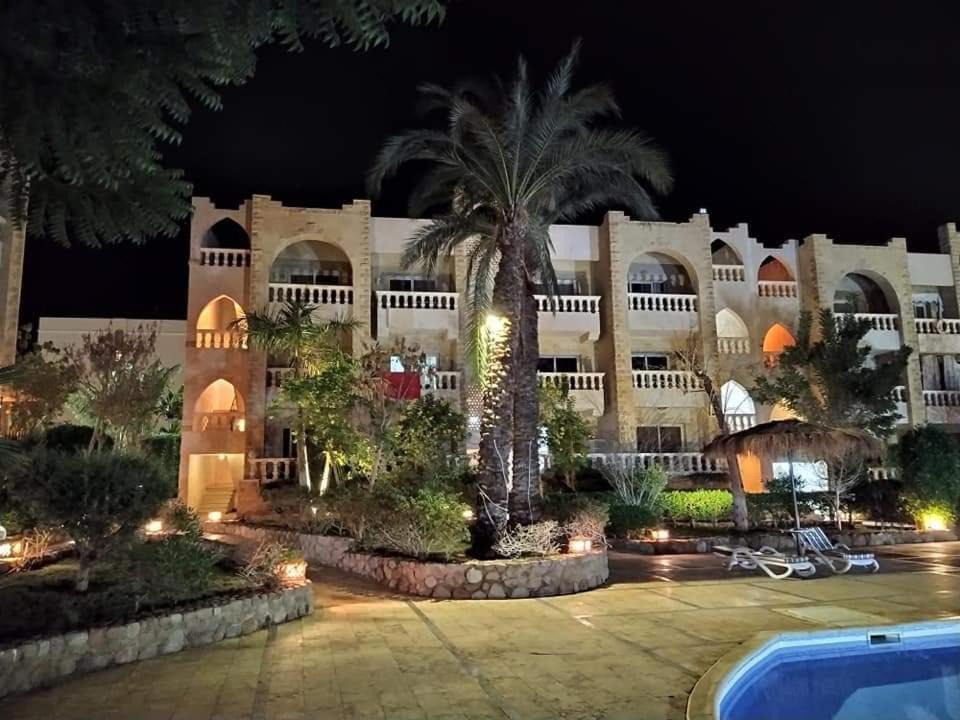 Photo of Others in Sharm El Sheikh