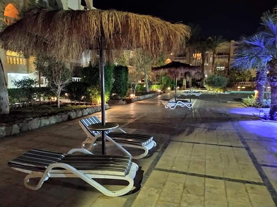 Photo of Others in Sharm El Sheikh