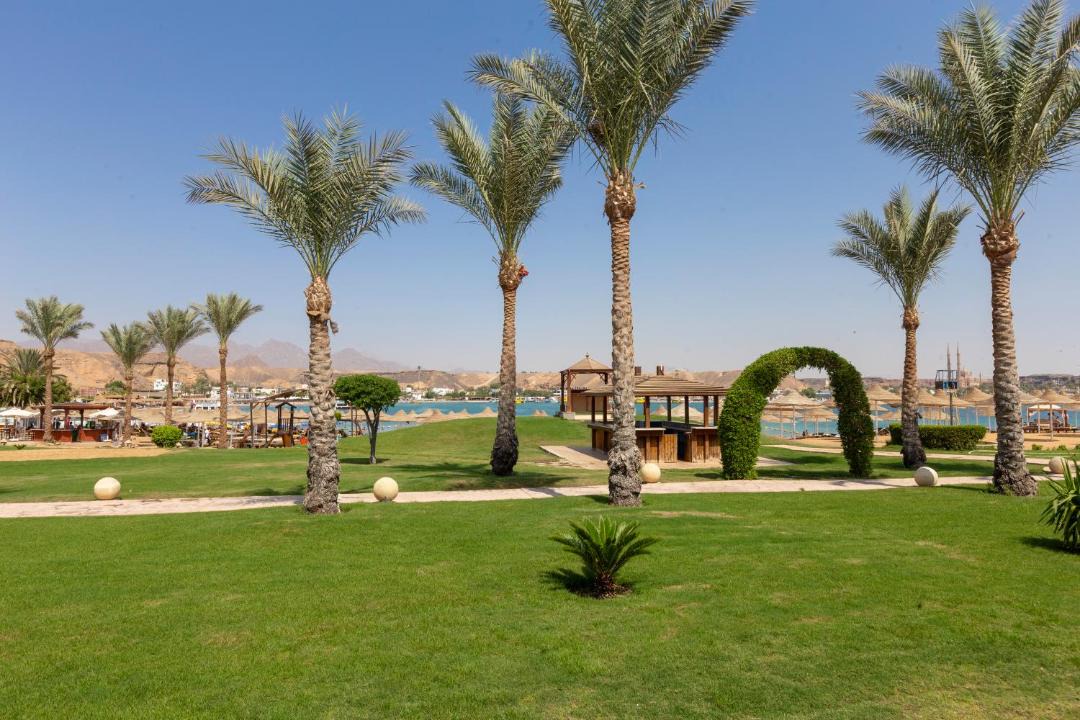 Photo of Others in El Hadaba