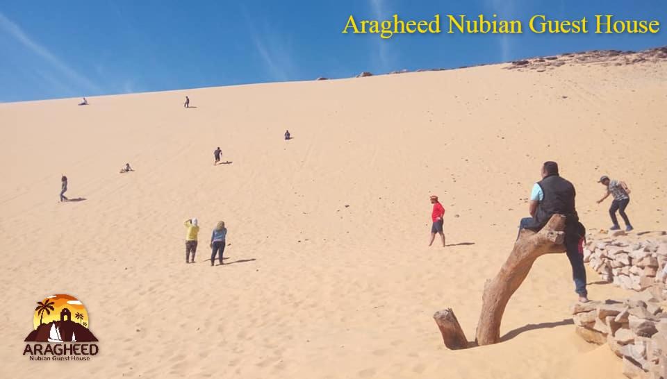 Photo of Others in Aswan