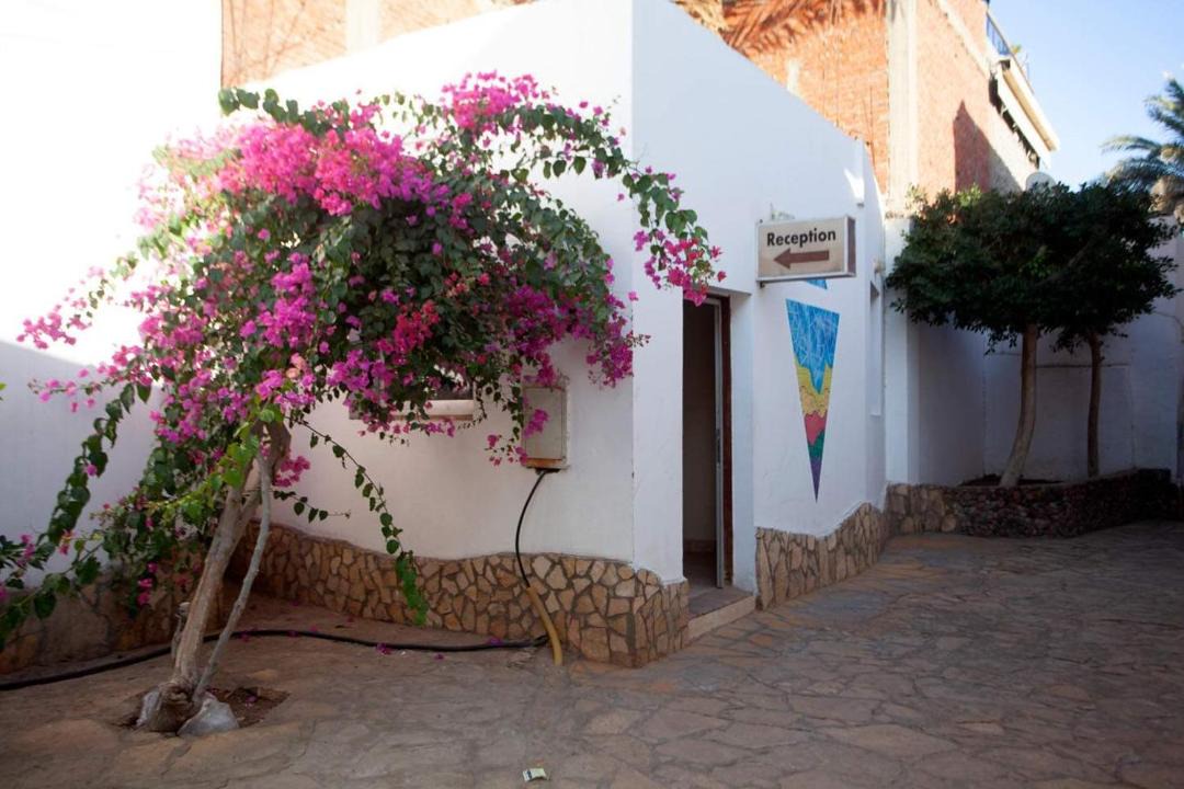 Photo of Others in Dahab