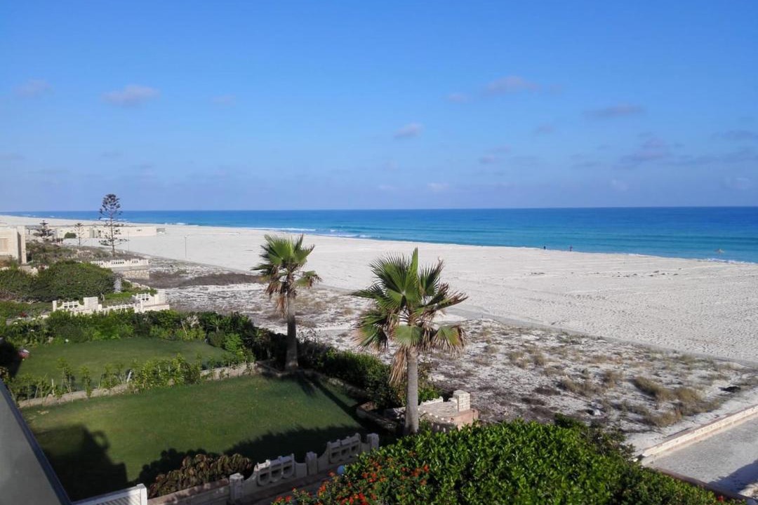 Photo of Others in Borg el Arab