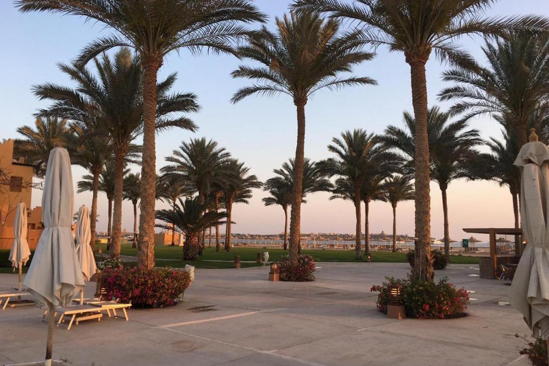 Photo of Others in Makadi Bay
