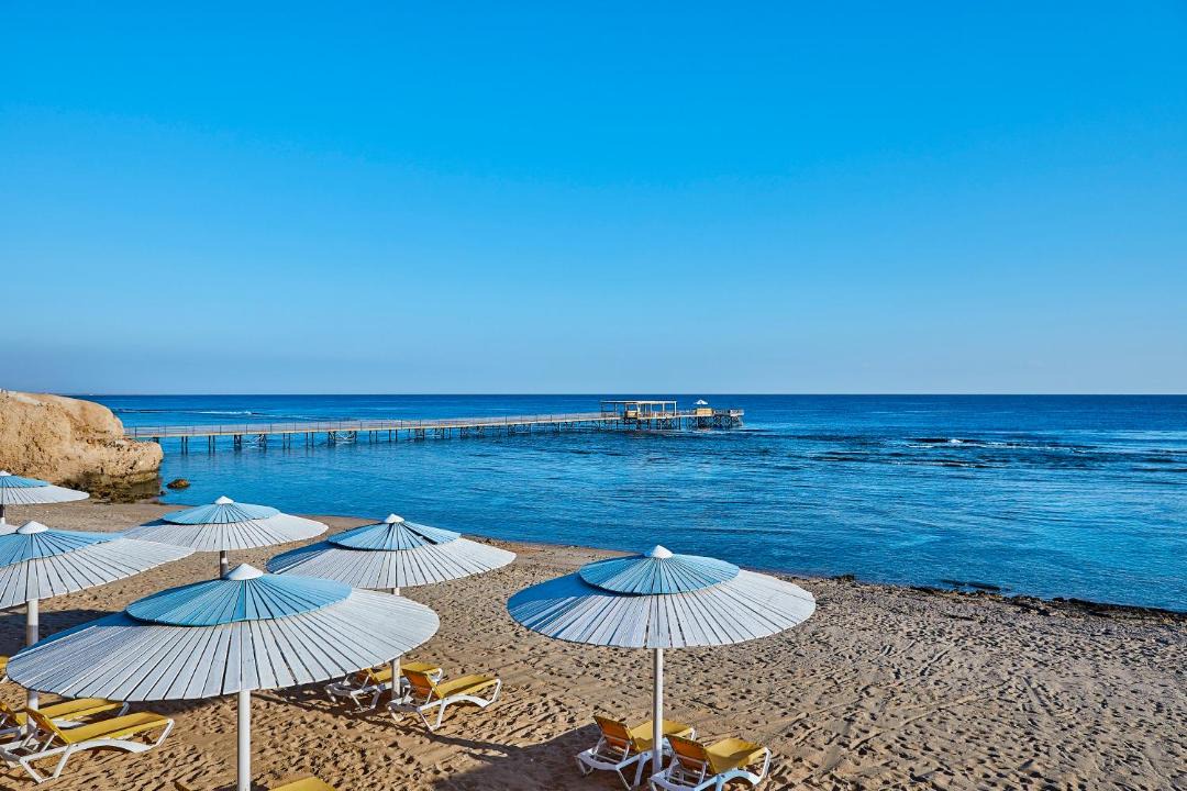 Photo of Others in Port Ghalib