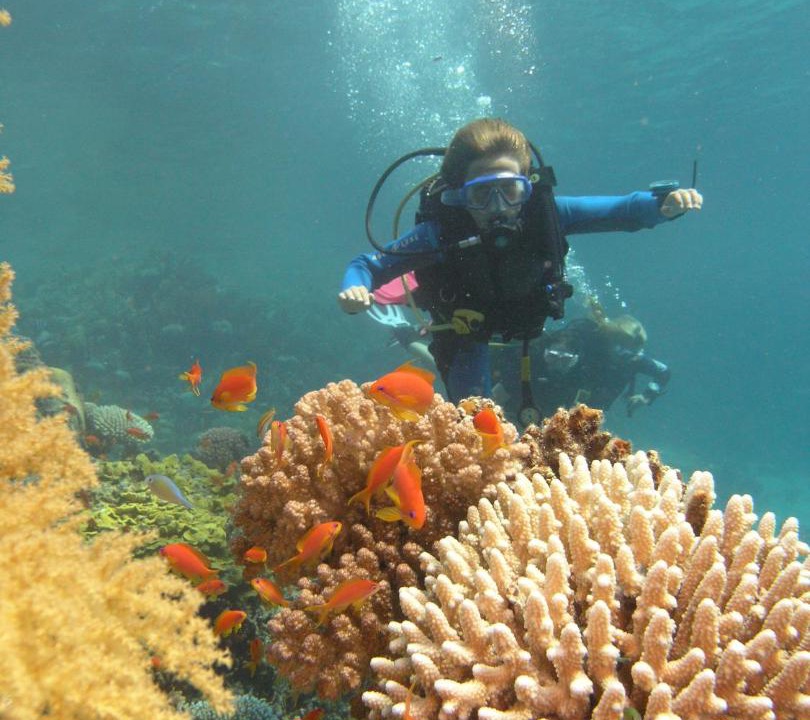 Photo of Others in Dahab
