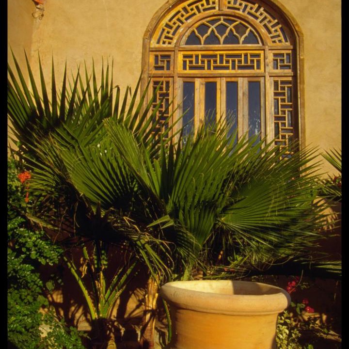 Photo of Others in Luxor
