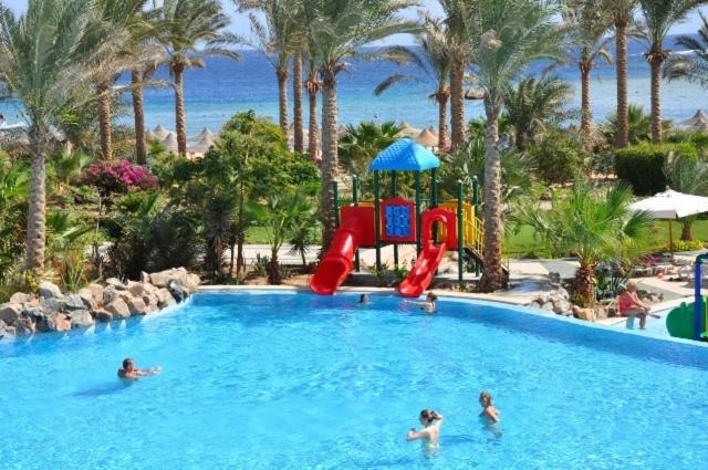 Photo of Others in Marsa Alam