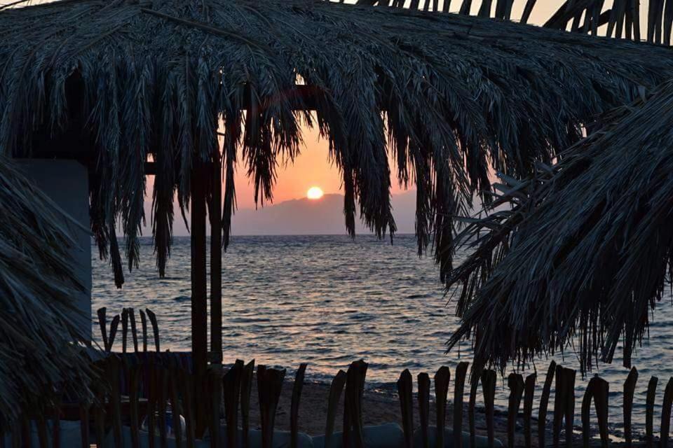 Photo of Others in Nuweiba