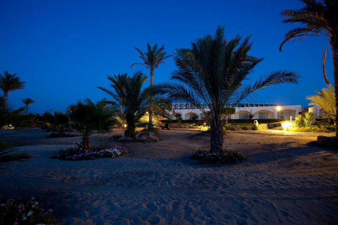 Photo of Others in Marsa Alam