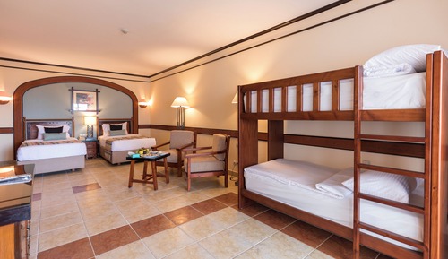 Family Bunk Bed
