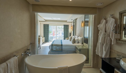 Deluxe Swim Up Room