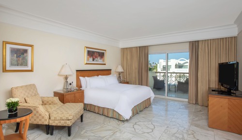 Suite Adult