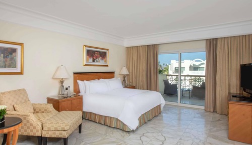 Suite Adult