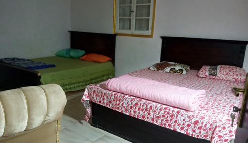 Basic Apartment