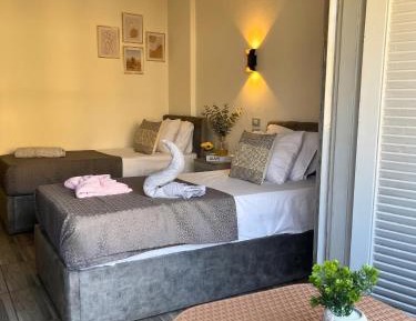 Superior Twin Room with City View