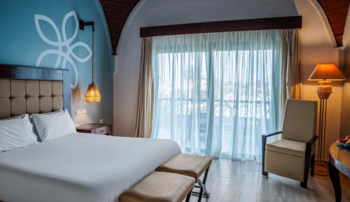 Superior Double or Twin Room with Pool View
