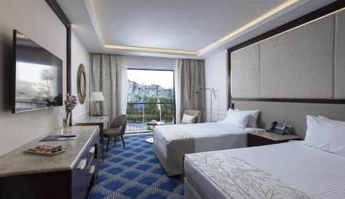 Premier Room city View