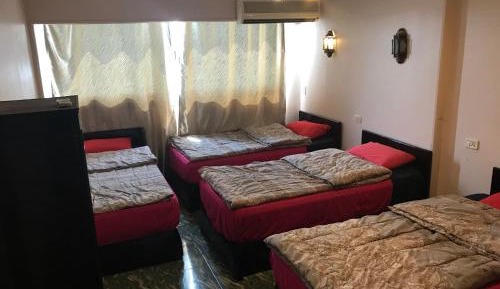 Single Bed in Mixed Dormitory Room