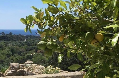 Pefki House | Holiday house Koutsouras for 1 - 4 persons with 2 bedrooms - Holiday home