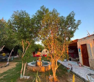 Tunis Village Other | ع السنتريك كامب AlCientrick Camp
