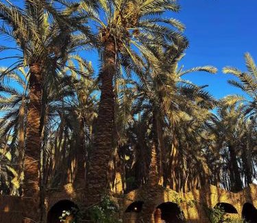 Siwa Hotel | Arkan siwa أركان سيوة