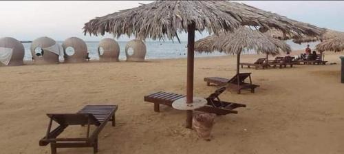 Al Ahyaa Hotel | Palma Resort