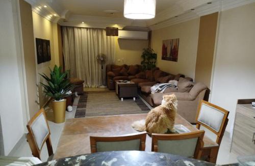 Al-Basatin Apartment | compound maadi grand city zahraa el maadi