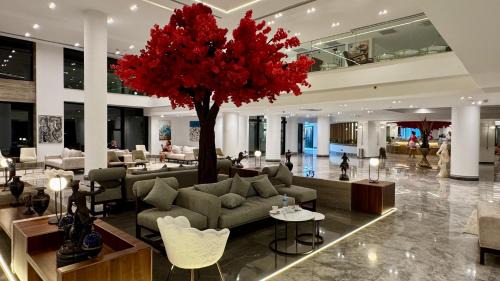Sakkala Resort | Amarina Sapphire Beach Hurghada Hotel - adults Only